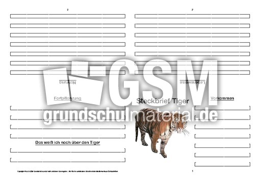 Tiger-Faltbuch-vierseitig-8.pdf